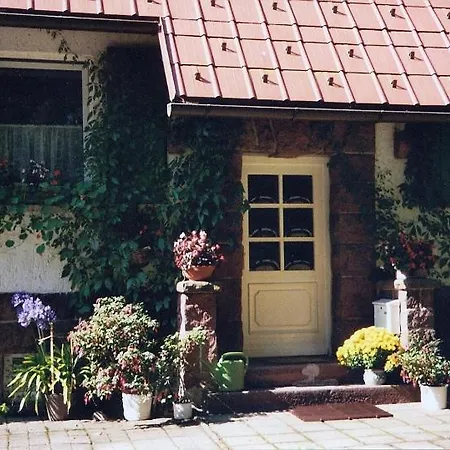 Am Rennsteig-pension Zur Wetterwarte ブロターオーデ