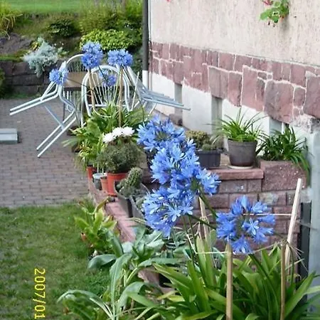 Am Rennsteig-pension Zur Wetterwarte Holiday home Brotterode-Trusetal