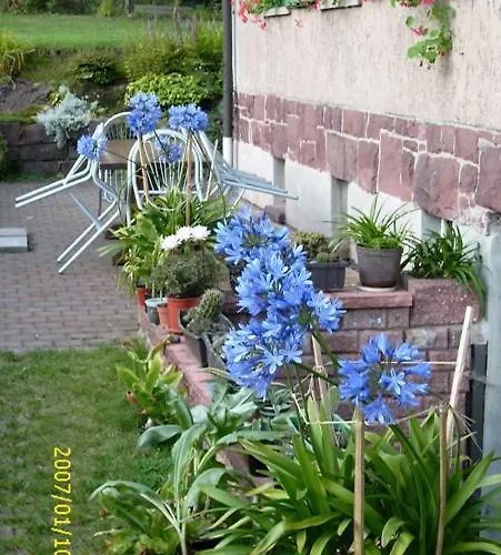 Am Rennsteig-pension Zur Wetterwarte Vakantiehuis Brotterode